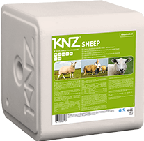 KNZ liksteen schaap 10kg