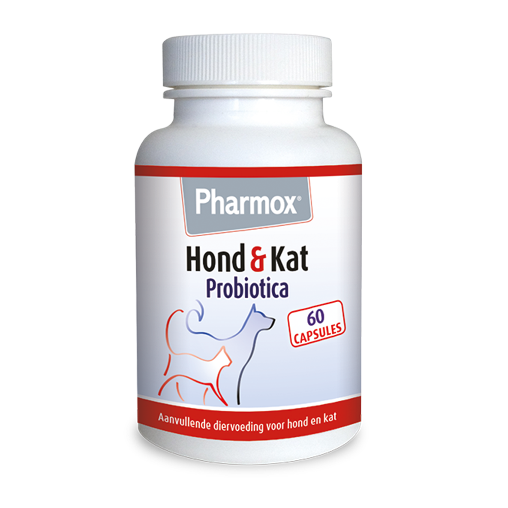 Pharmox hond&kat probiotica 60 capsules