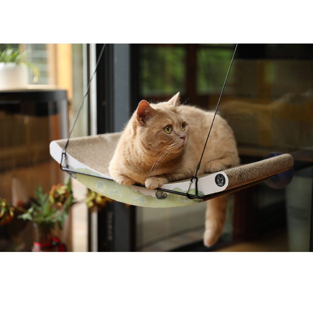 Verras je kat met de JoyCat Raambed Schommel – een unieke en comfortabele slaapplek aan het raam, waar je kat heerlijk kan ontspannen terwijl hij zachtjes schommelt.