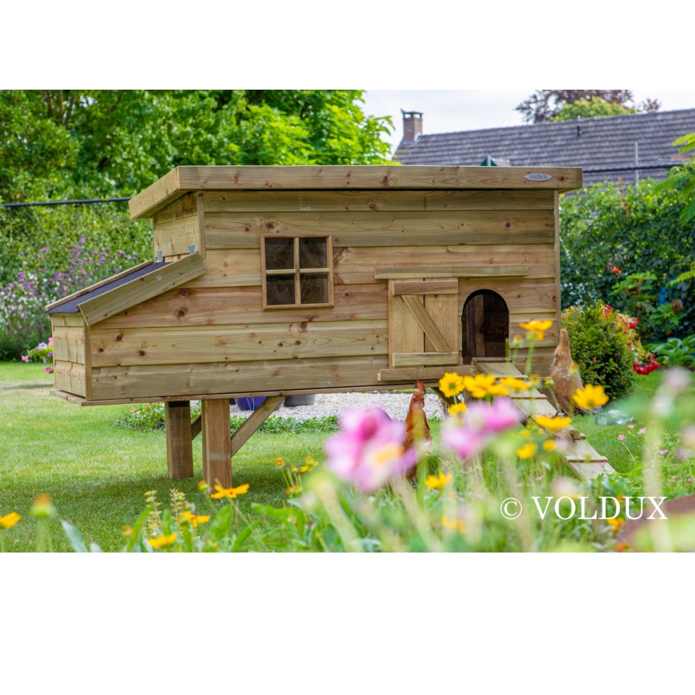 Sfeerfoto: Voldux Kippenhok Finn 190x88x110 cm houten kippenhok met legnest en loopplank