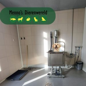 foto van de wassalon