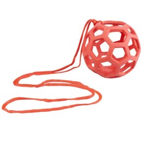Rode voederbal voor kippen van 14 cm met nylon touw van 1,5 meter