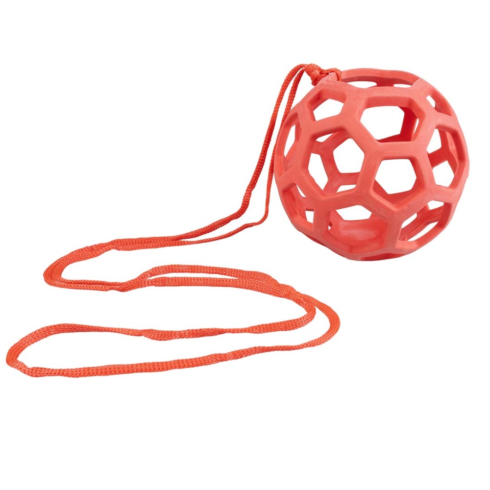 Rode voederbal voor kippen van 14 cm met nylon touw van 1,5 meter