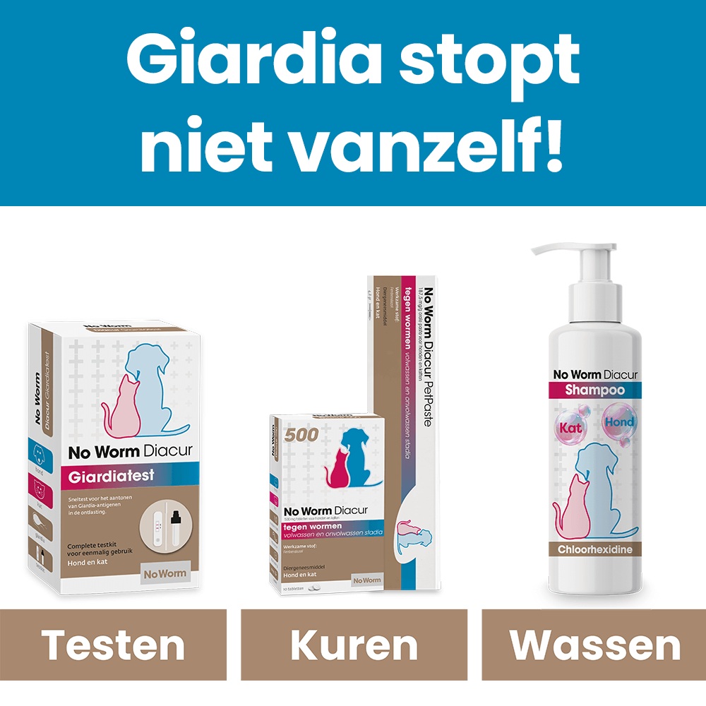 Stappenplan Diacur Giardia
