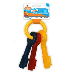 Nylabone Sleutels Puppy M kauwspeeltje met baconsmaak voor puppy tot 16 kg