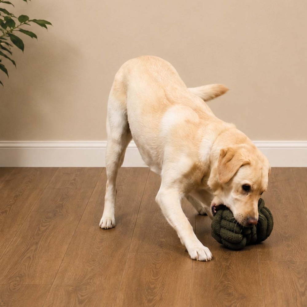 D&D HOME Teddy Ball army green touwspeeltje voor honden