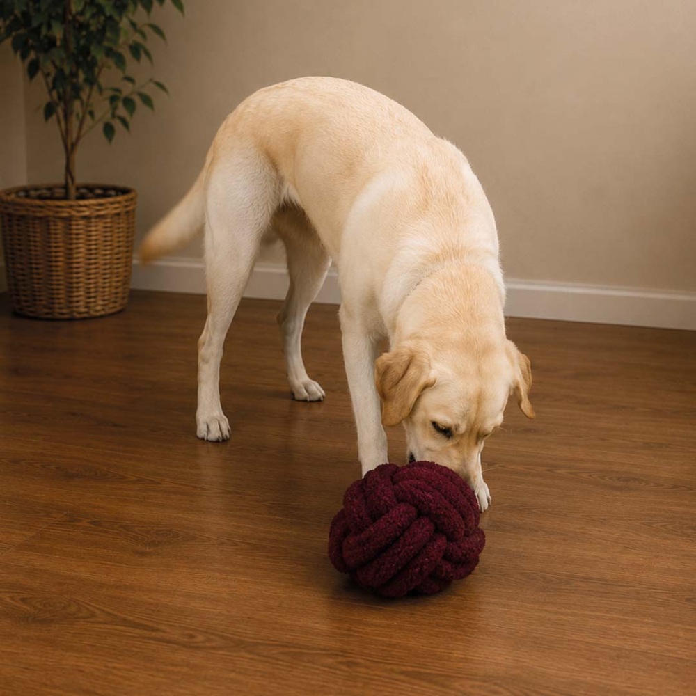 D&D HOME Teddy Ball bordeaux touwspeeltje voor honden