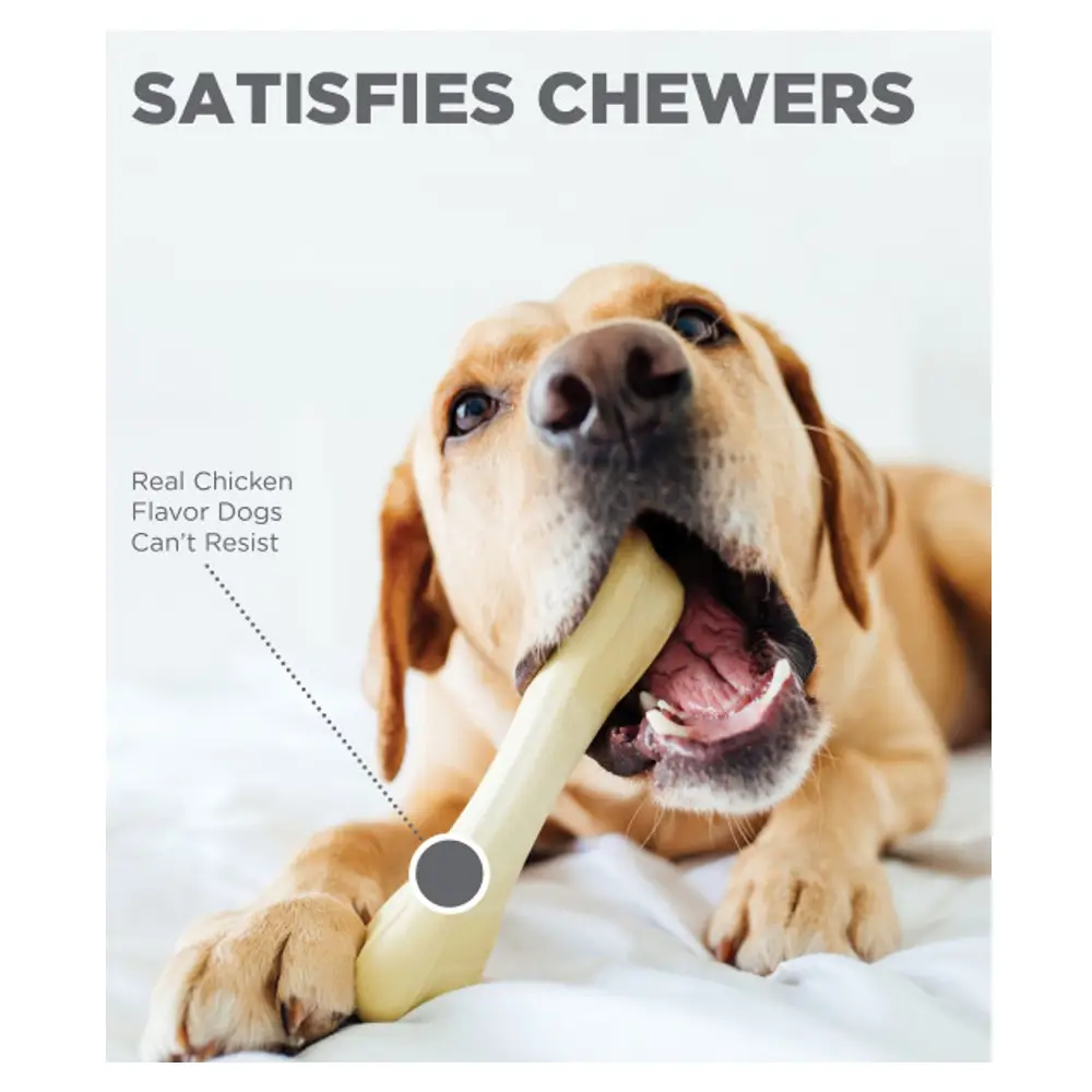 Petstages Chick-A-Bone Medium 17 cm kauwspeeltje met kipsmaak voor honden