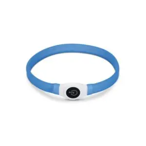 Beeztees Safety Gear Glowy blauw 65 × 2,5 cm lichtgevende hondenhalsband