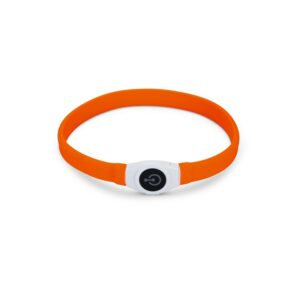 Beeztees Safety Gear Glowy oranje 65 × 2,5 cm lichtgevende hondenhalsband