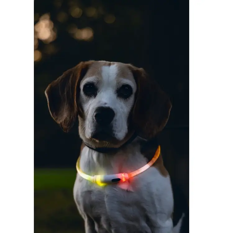 Beeztees Safety Gear Dogini Multi 65 cm lichtgevende LED-halsband voor honden