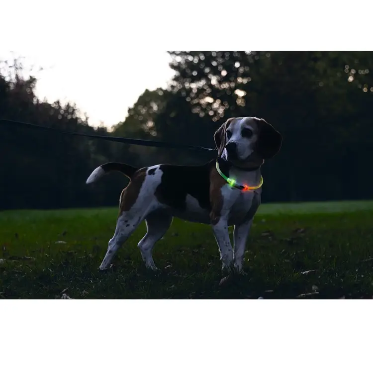 Beeztees Safety Gear Dogini Multi 65 cm lichtgevende LED-halsband voor honden